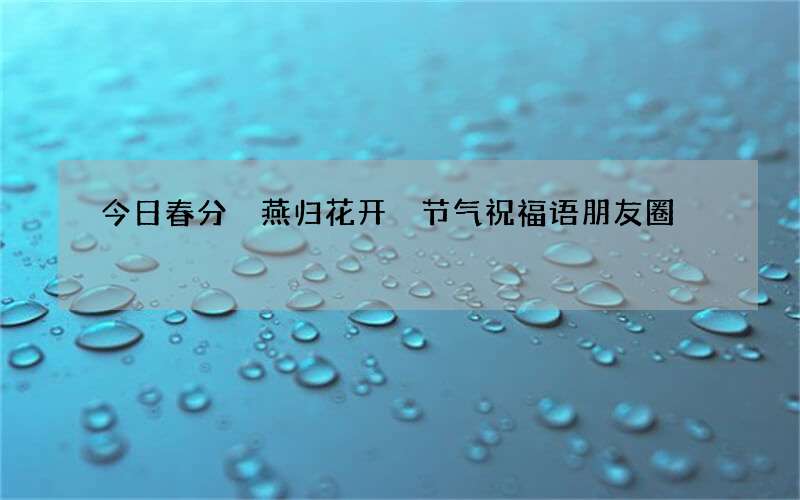 今日春分 燕归花开 节气祝福语朋友圈